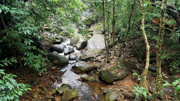 Thrilling trek through Thusharagiri Waterfalls Thrilling trek through Thusharagiri Waterfalls