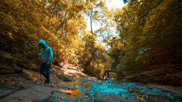 Trekking through the lush forests of Wayanad Trekking through the lush forests of Wayanad