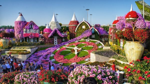 Dubais Miracle Garden Ease Stress
