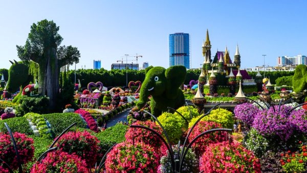 Dubais Miracle Garden Ease Stress