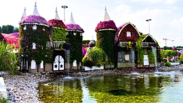Dubais Miracle Garden Ease Stress