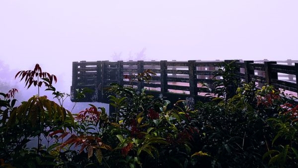 Agumbe: Explore Cherrapunji of the South