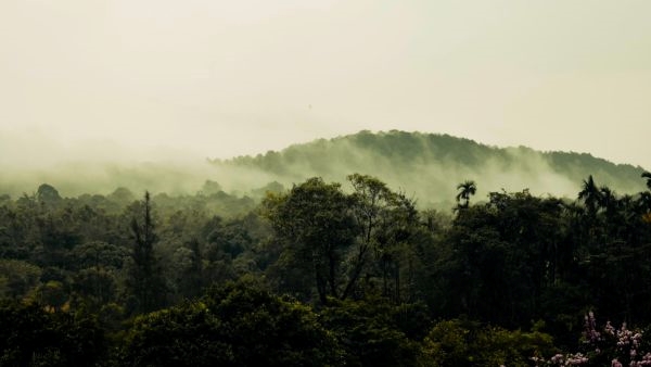 Agumbe: Explore Cherrapunji of the South