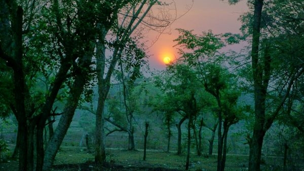 Trip to Masinagudi from Bangalore