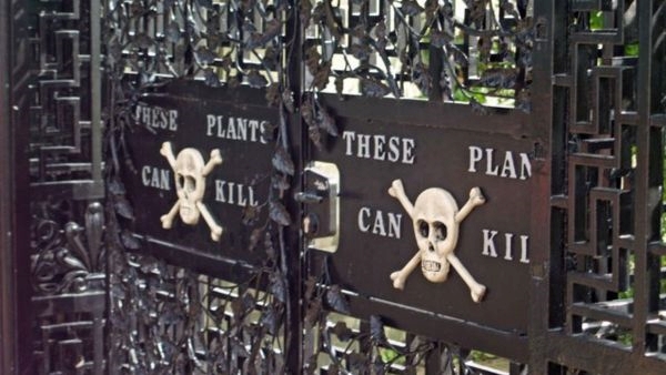 The Poison Garden in England