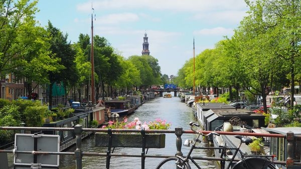 A cyclist navigating through the busy city streets of Amsterdam, the Netherlands A cyclist navigating through the busy city streets of Amsterdam, the Netherlands