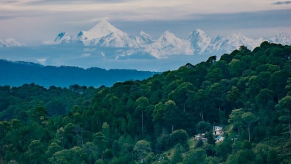 A serene and tranquil view of forests in Ranikhet amidst sunrise A serene and tranquil view of forests in Ranikhet amidst sunrise