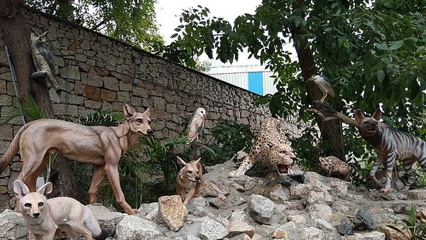 An adventurous day spent at the zoo and experiencing a balloon ride at Kankaria Lake An adventurous day spent at the zoo and experiencing a balloon ride at Kankaria Lake