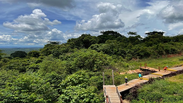 Jungle Tourism Jungle Tourism