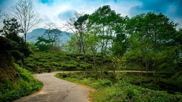 Beautiful landscapes of Darjeeling in summer and winter Beautiful landscapes of Darjeeling in summer and winter