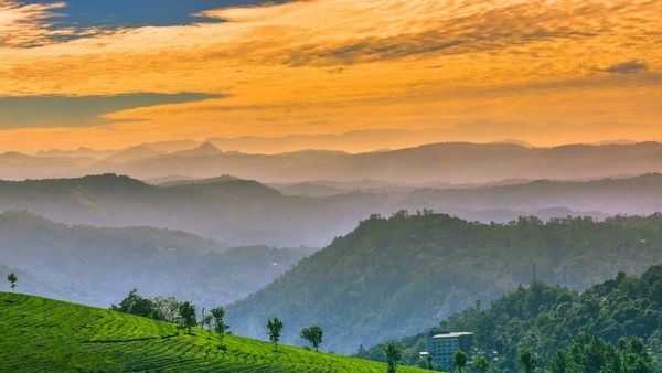 Couple in Munnar, enjoying the lush green beauty and tranquil aura. Couple in Munnar, enjoying the lush green beauty and tranquil aura.