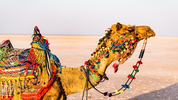 IRCTC Kutch Festival Package IRCTC Kutch Festival Package