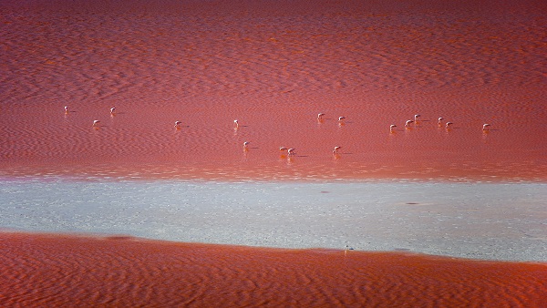 Most Colourful Lakes In The World Most Colourful Lakes In The World