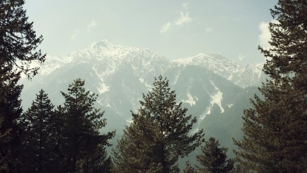 Image of a couple enjoying a leisure trip in Jammu and Kashmir Image of a couple enjoying a leisure trip in Jammu and Kashmir
