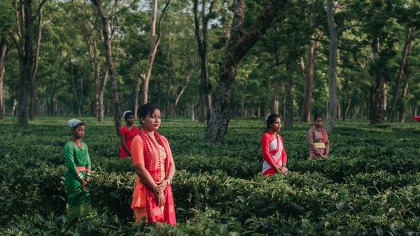 Kids strolling in the Tea gardens of Assam Kids strolling in the Tea gardens of Assam