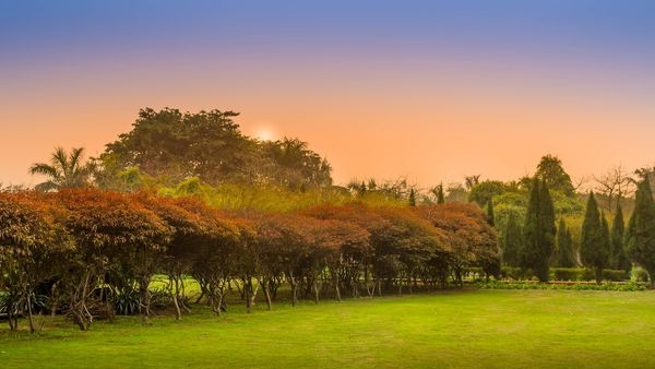 Must-Visit Attractions in Noida, India featuring Worlds of Wonder, Botanic Garden of Indian Republic, Atta Market and DLF Mall Must-Visit Attractions in Noida, India featuring Worlds of Wonder, Botanic Garden of Indian Republic, Atta Market and DLF Mall