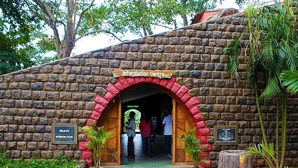 Periyar Lake and wild animals in Periyar National Park
