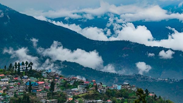 Picture of scenic tea gardens and hills of Darjeeling Picture of scenic tea gardens and hills of Darjeeling