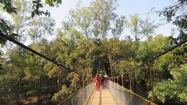 The mesmerising views of dense green forests at Cauvery Nisargadhama