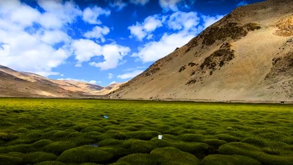 Ladakhs Puga Valley Ladakhs Puga Valley