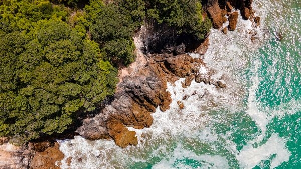 A panoramic shot of beautiful summer scenery in New Zealand