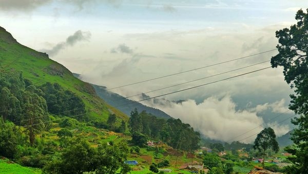 A serene moment captured while camping by the Ooty lake A serene moment captured while camping by the Ooty lake