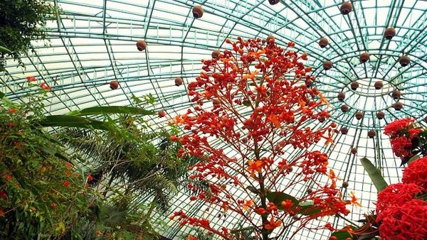 A visitor marveling at the wonders of Butterfly Park A visitor marveling at the wonders of Butterfly Park