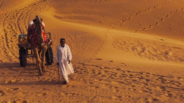 Adventure Amidst the Sands: The Thar Desert Safari Experience Adventure Amidst the Sands: The Thar Desert Safari Experience
