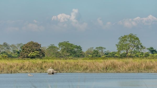 An Embodiment of Assam’s Rich Biodiversity An Embodiment of Assam’s Rich Biodiversity