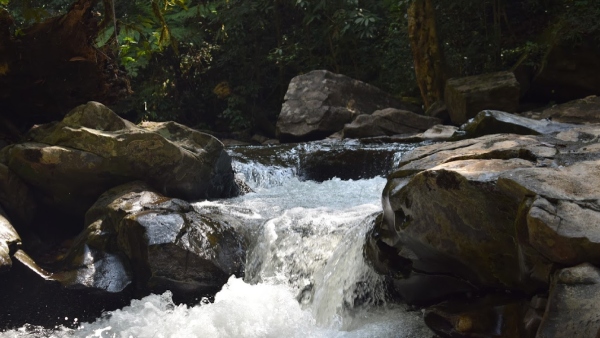 bandaje arbi falls