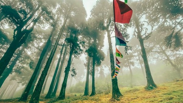 Less frequently visited attractions in Darjeeling