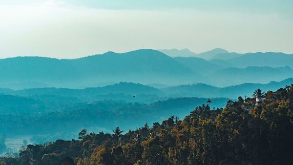 Picture-Perfect Coorg: The Paradise of Organic Plantations Picture-Perfect Coorg: The Paradise of Organic Plantations