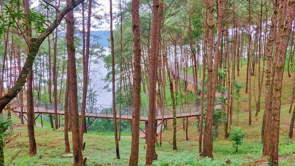 Scenic beauty of North-East India with vibrant valleys of Assam and enchanting expanses of Meghalaya Scenic beauty of North-East India with vibrant valleys of Assam and enchanting expanses of Meghalaya