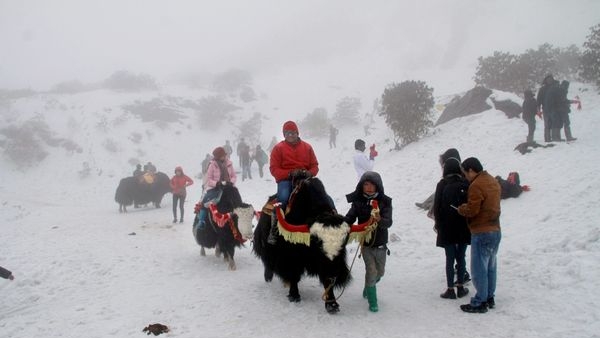 Snow-clad landscapes in Sikkim post the first snowfall Snow-clad landscapes in Sikkim post the first snowfall