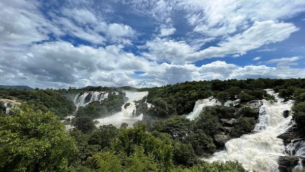 Stunning view of the Sivasamudram Falls, the Falling Curtain of Mysore, located in Karnataka, India Stunning view of the Sivasamudram Falls, the Falling Curtain of Mysore, located in Karnataka, India