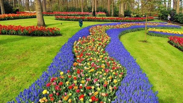 The Real Essence of the Netherlands