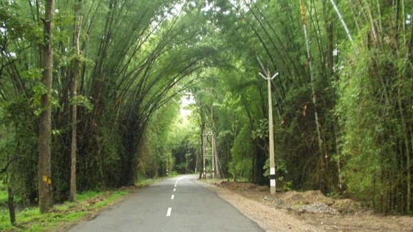 Wayanad, Kerala
