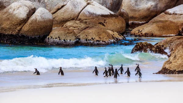 South Africa South Africa