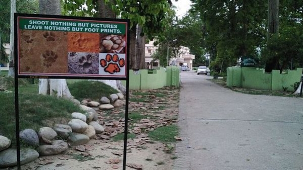 Hotel construction near Dudhwa National Park