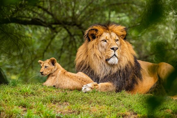 Tourism in West Bengal Tourism in West Bengal