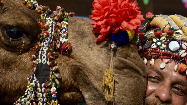 Pushkar Camel Fair