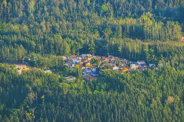 Yercaud winter accommodation Yercaud winter accommodation
