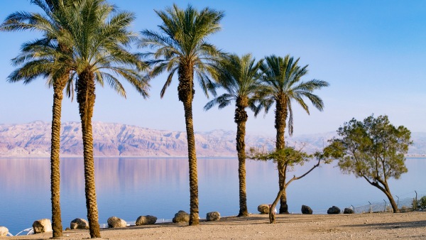 Fact about Dead Sea Fact about Dead Sea