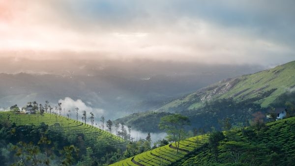 Travel tips for Vagamon, Kerala Travel tips for Vagamon, Kerala