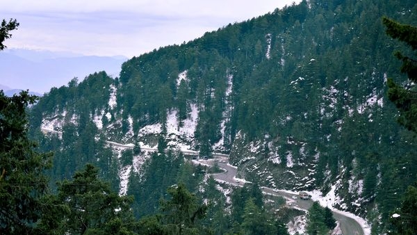 Natural landscapes and wildlife in Kufri Natural landscapes and wildlife in Kufri