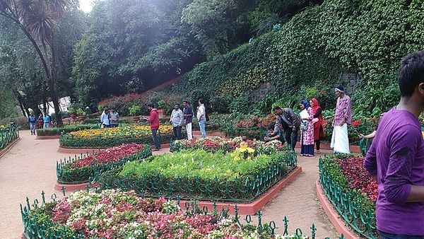 Electric car in Botanical Garden Ooty Electric car in Botanical Garden Ooty