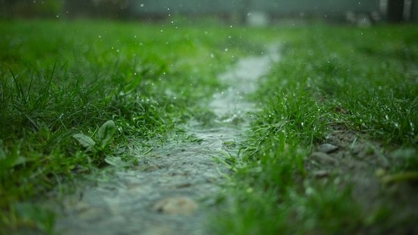 Tamil Nadu rainfall Tamil Nadu rainfall