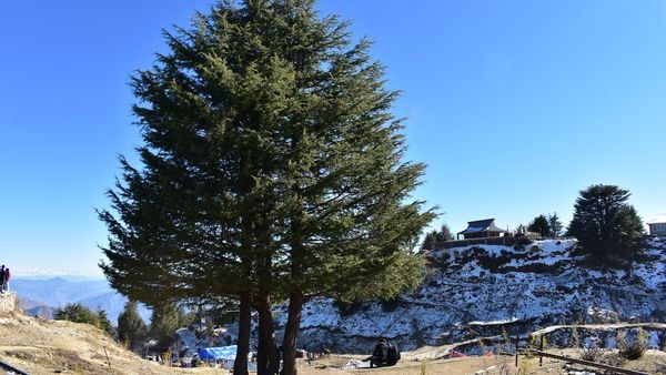 Winter landscape in Kufri Winter landscape in Kufri