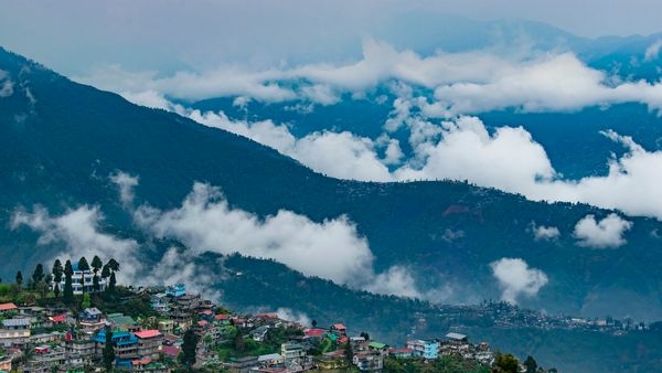 Darjeeling tea gardens in winter