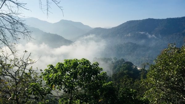  10 Captivating Facts of Sabarimala